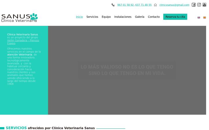 Screenshot of clinicaveterinariasanus.com