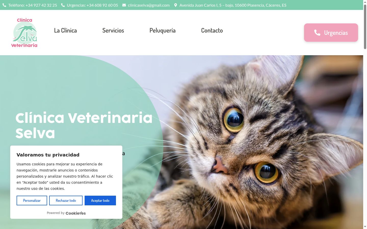 Sutikimo reklamjuostės, rodytos prieš bet kokią sąveiką, ekrano kopija
