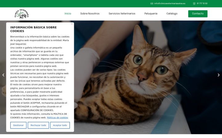 Screenshot of clinicaveterinariaselva.es