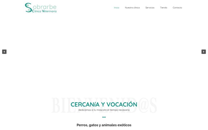 Screenshot of clinicaveterinariasobrarbe.com