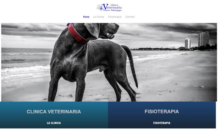 Captură de ecran a clinicaveterinariatorrematigge.it