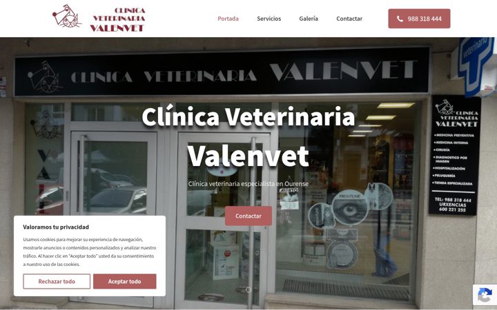 Captura de pantalla de clinicaveterinariavalenvet.es