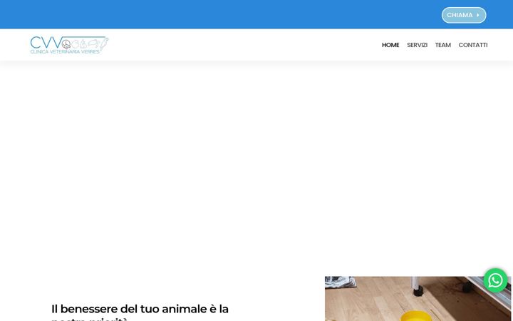 Screenshot of clinicaveterinariaverres.it