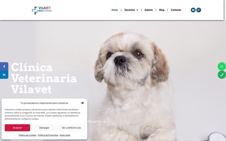 Screenshot of clinicaveterinariavilavet.es