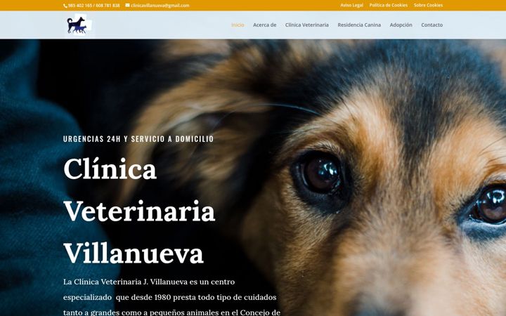Captura de pantalla de clinicaveterinariavillanueva.es