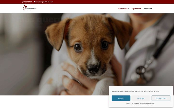 Screenshot of clinicaveterinariavirgendeiciar.es