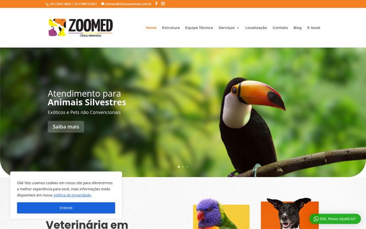 Screenshot of clinicazoomed.com.br