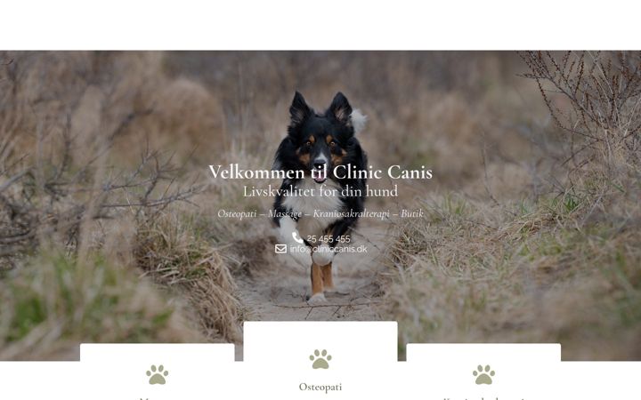 Screenshot of cliniccanis.dk
