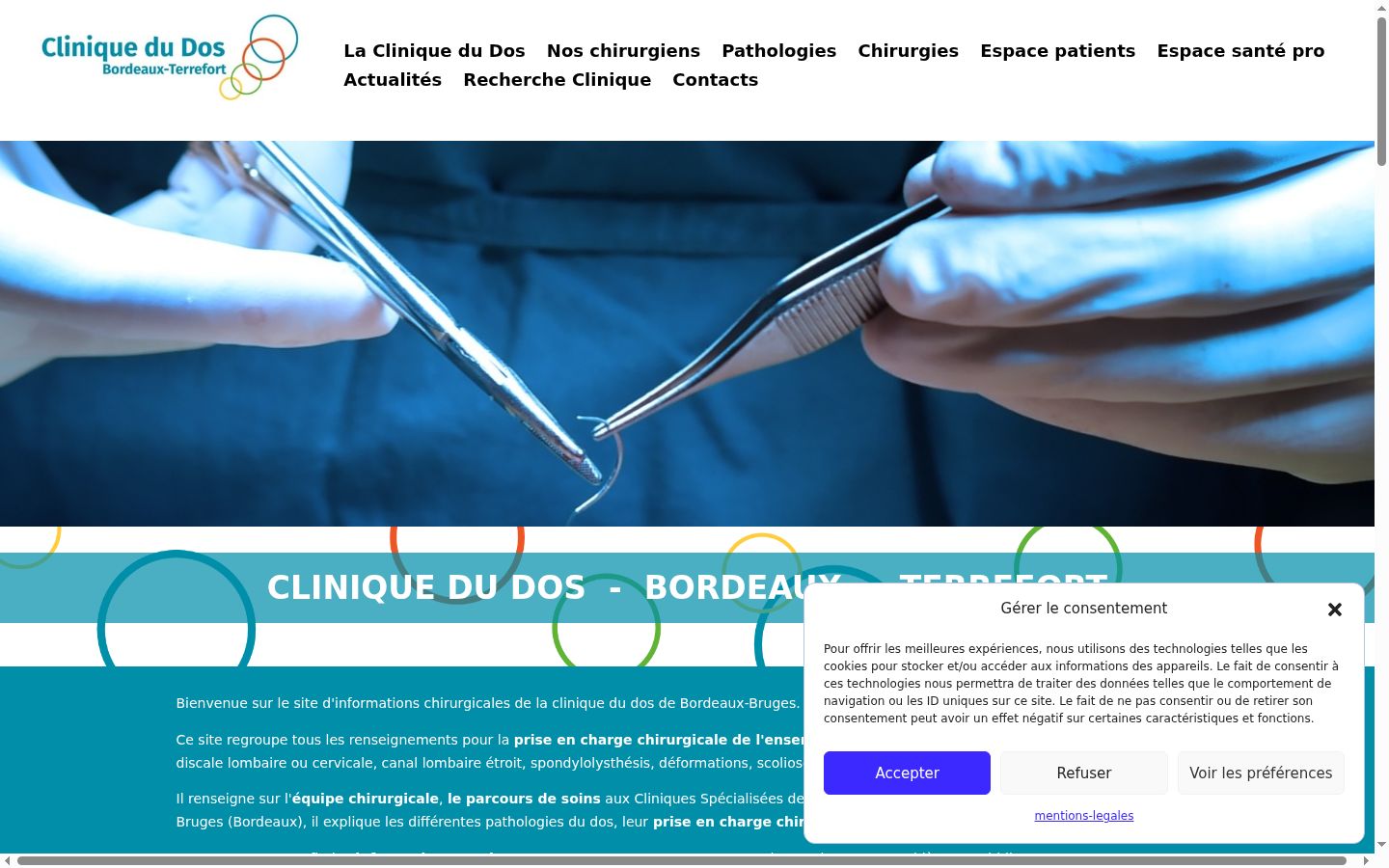 Screenshot of the consent banner shown before any interaction
