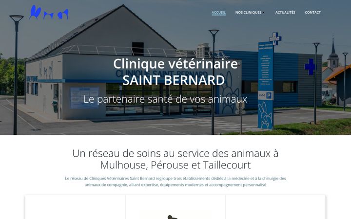 Capture d'écran de clinique-saint-bernard.fr