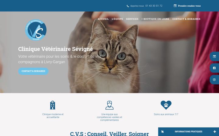 Screenshot of clinique-sevigne.com