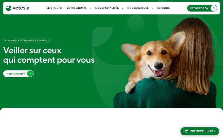 Screenshot of clinique-veterinaire-marseille.com