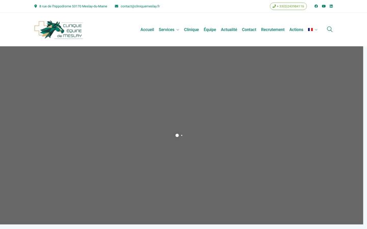 Screenshot of cliniqueequinedemeslay.com
