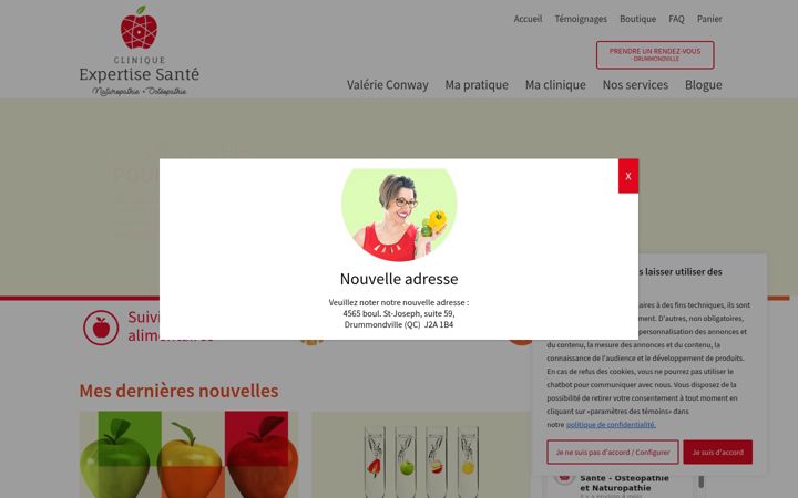 Screenshot of cliniqueexpertisesante.com