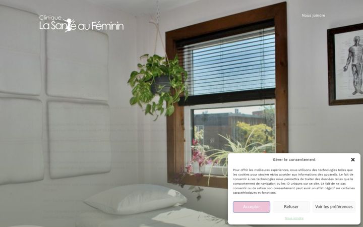 Capture d'écran de cliniquelasanteaufeminin.ca