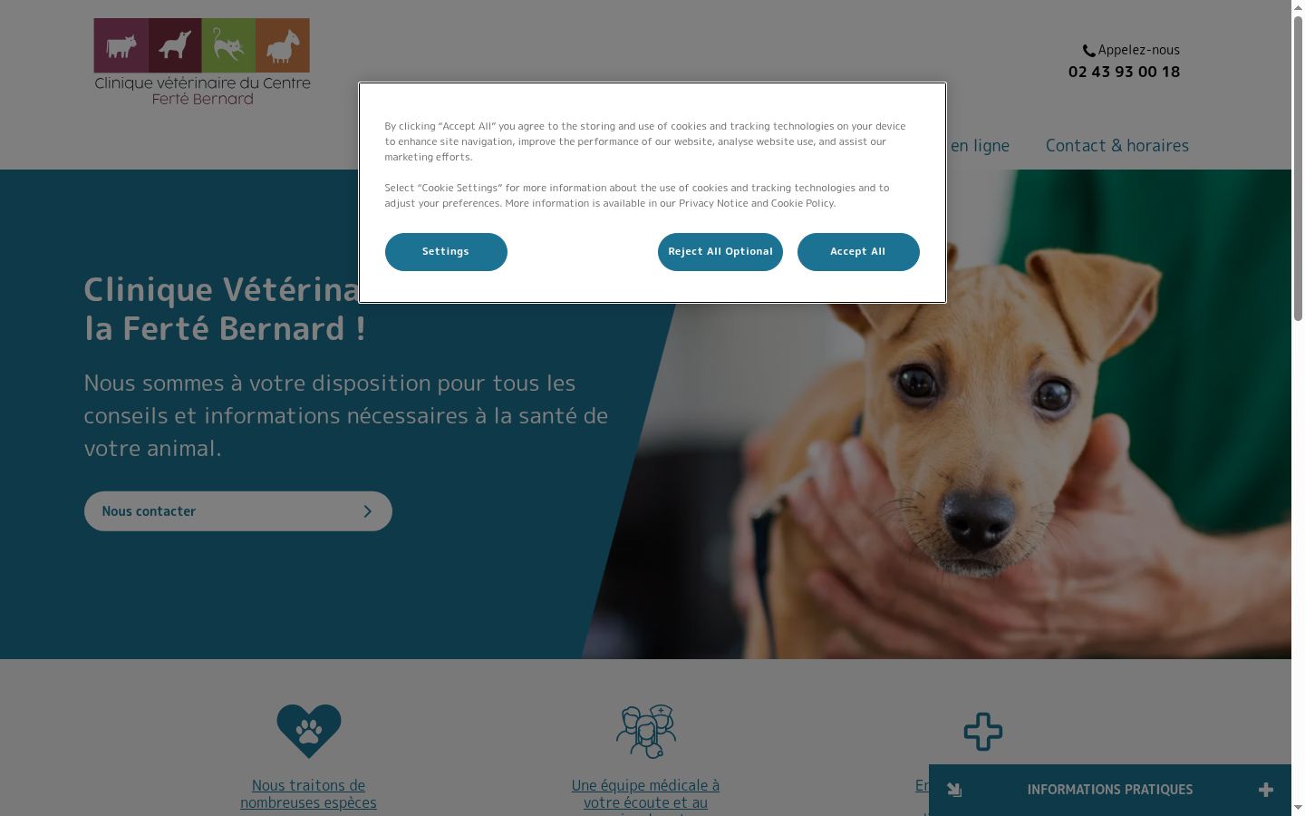 Screenshot of the consent banner shown before any interaction