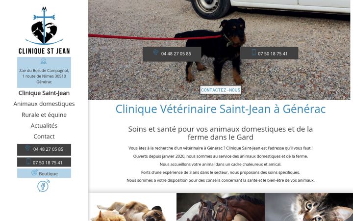 Screenshot stránky cliniqueveterinaire-saintjean.fr