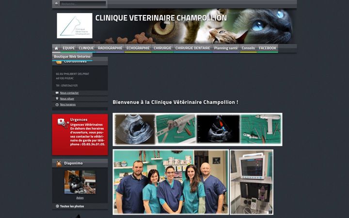 Screenshot di cliniqueveterinairechampollion.fr
