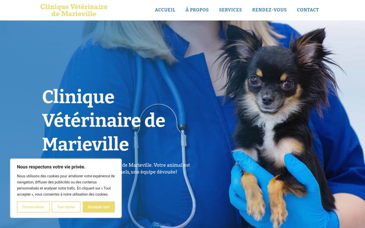 Captura de pantalla de cliniqueveterinairedemarieville.ca