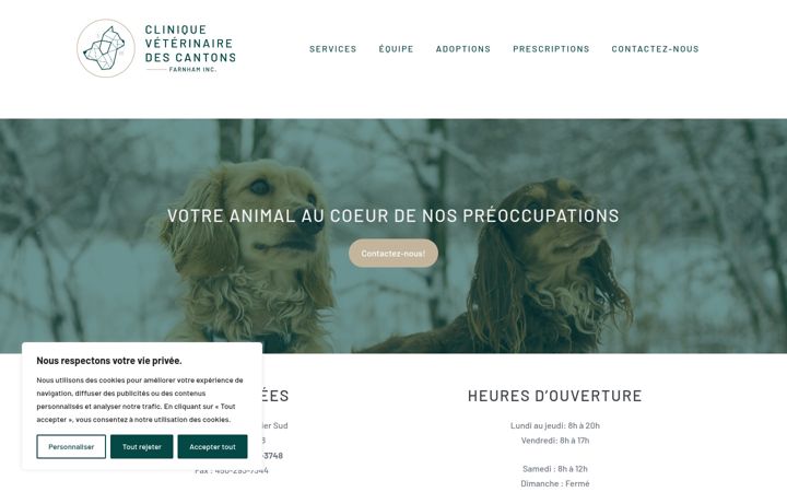 Screenshot of cliniqueveterinairedescantons.com