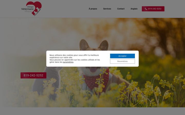 Captura de pantalla de cliniqueveterinairemirabel.ca