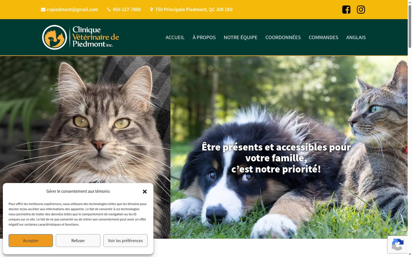 Screenshot del banner di consenso mostrato prima di qualsiasi interazione