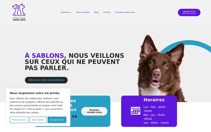 Screenshot of clinvetosablons.com