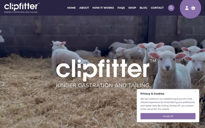 Zrzut ekranu clipfitter.co.uk