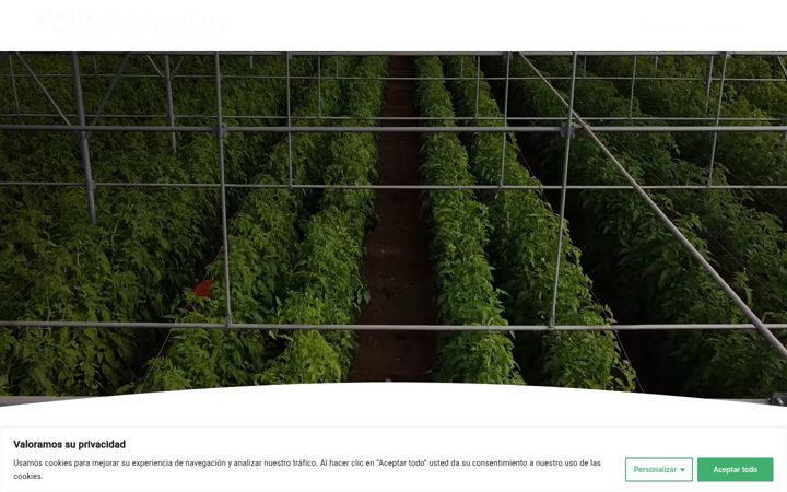 Screenshot of clipssolution.com