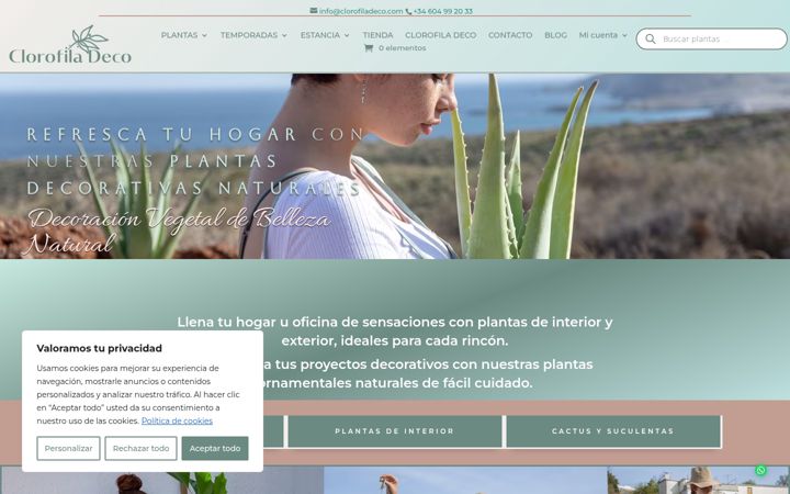 Screenshot of clorofiladeco.com