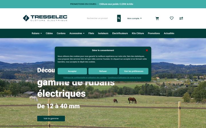 Screenshot di cloture-electrique.net