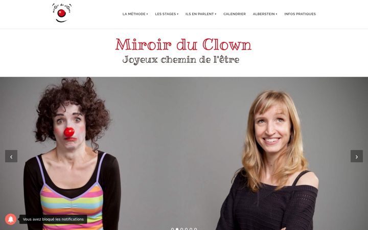 Screenshot of clown-gestalt.fr