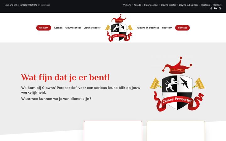 Snimka zaslona za clownsperspectief.nl