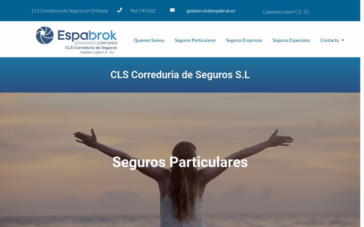 Posnetek zaslona clseguros.es