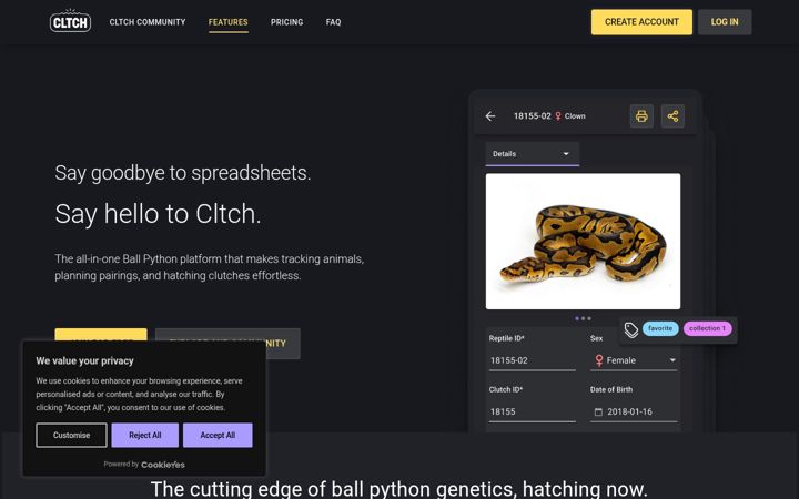 Screenshot of cltch.io