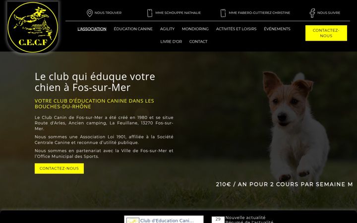 Snimka zaslona za club-deducation-canine.fr