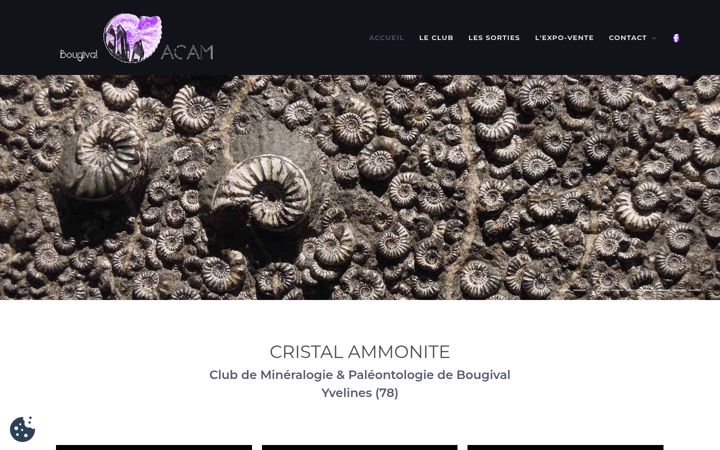 Ekrano kopija club-mineraux-fossiles-bougival-78.org