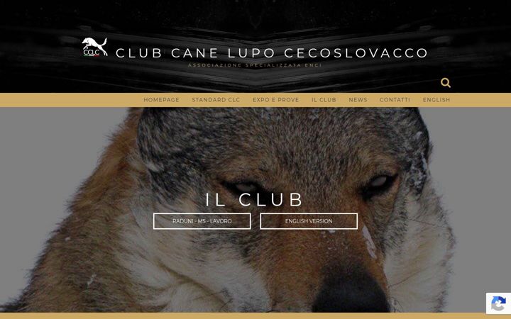 Screenshot of clubcanelupocecoslovacco.net