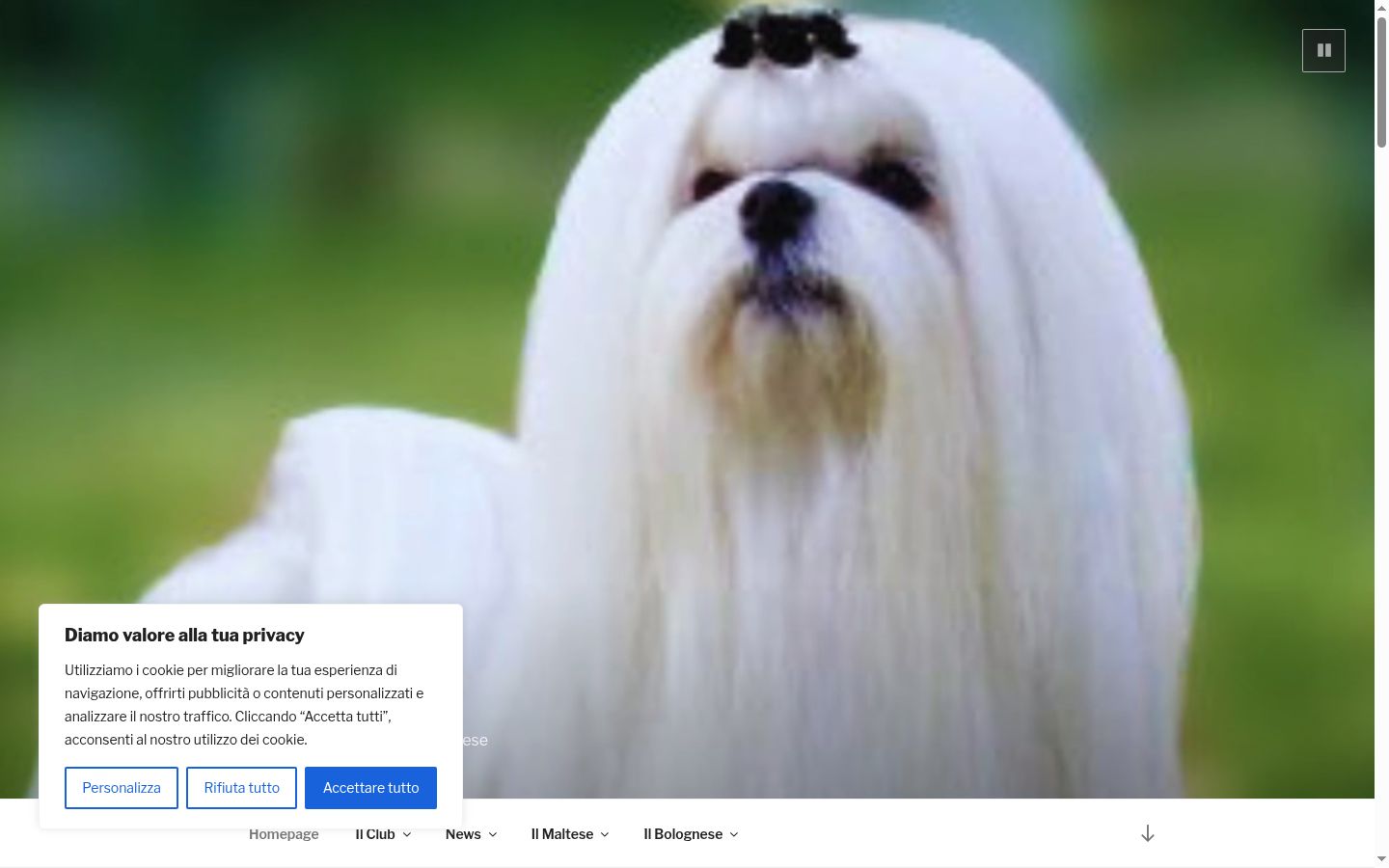 Posnetek zaslona pasice za privolitev, prikazane pred kakršno koli interakcijo