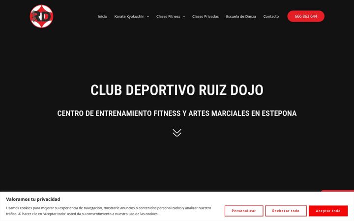 Screenshot di clubdeportivoruizdojo.es