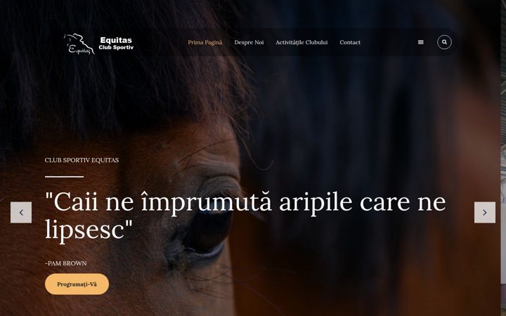 Zrzut ekranu clubequitas.ro