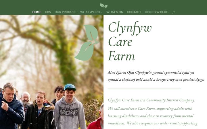 Screenshot of clynfyw.co.uk