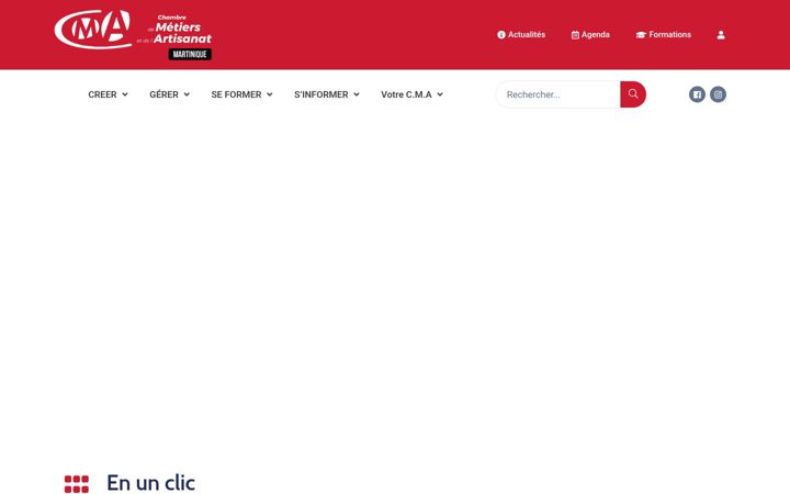 Screenshot of cma-martinique.com