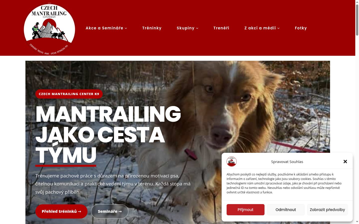 Captura de pantalla del banner de consentimiento mostrado antes de cualquier interacción