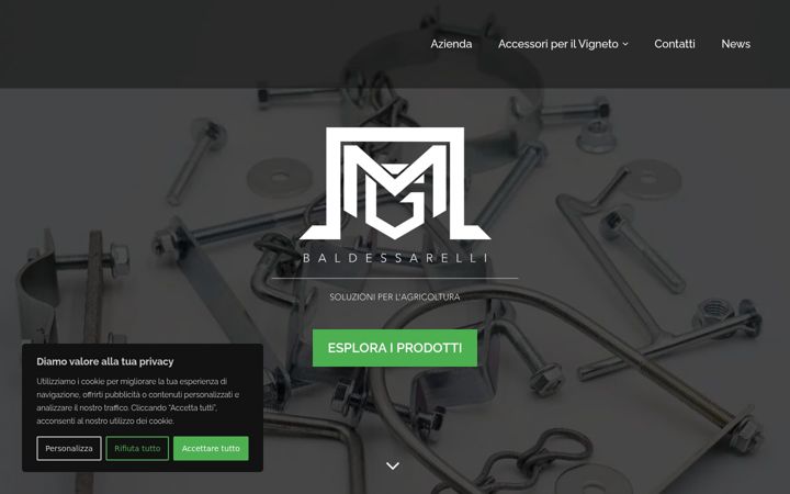 Screenshot of cmgbaldessarelli.com