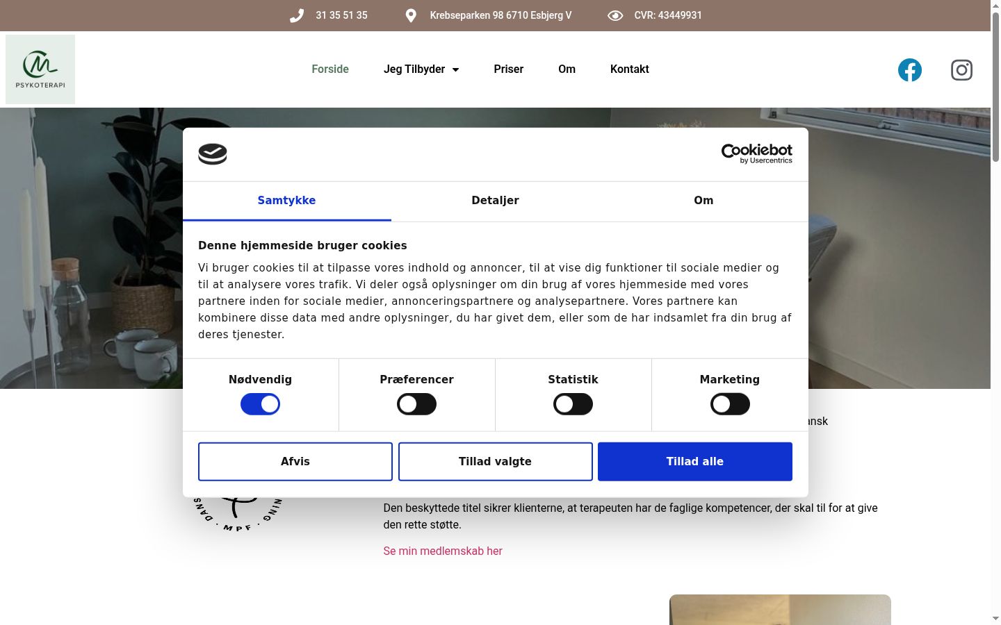 Skærmbillede af samtykkebanneret, som det blev vist før nogen interaktion