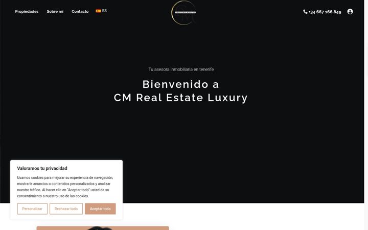 Screenshot of cmrealestateluxury.com