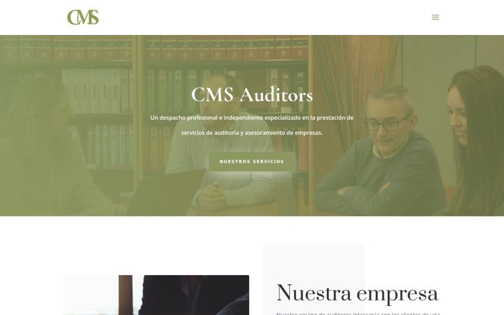 Screenshot of cmsauditors.es