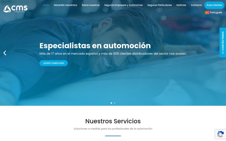 Screenshot of cmsseguros.es