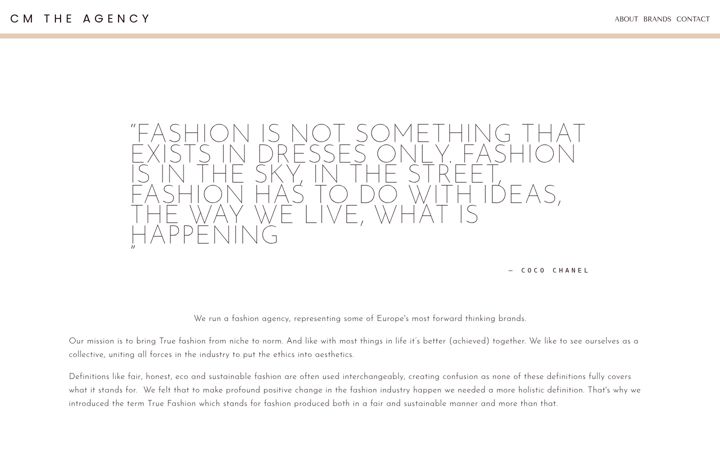 Screenshot of cmtheagency.com
